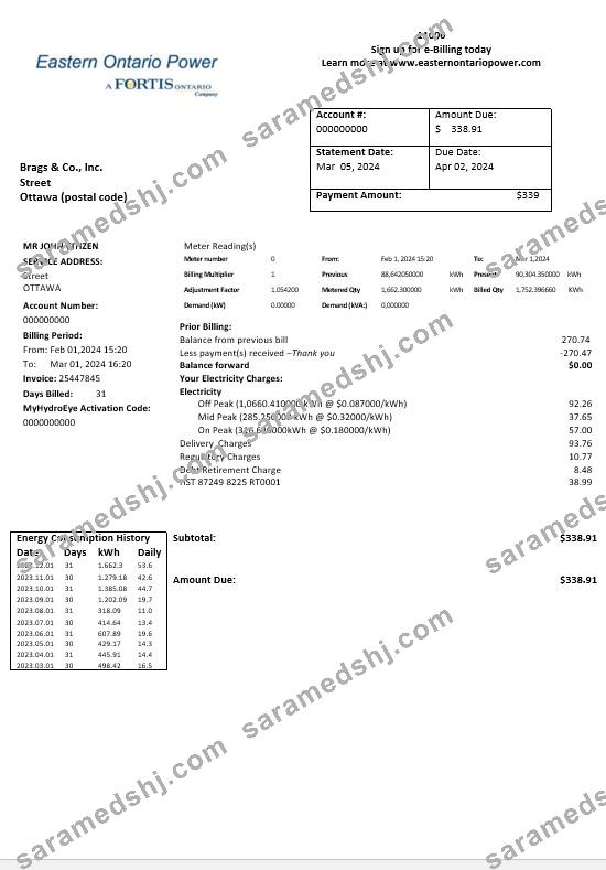 Canada Eastern Ontario Power business utility bill template in Word and pdf formats